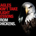 Eagles don't take flight lessons from Chickens